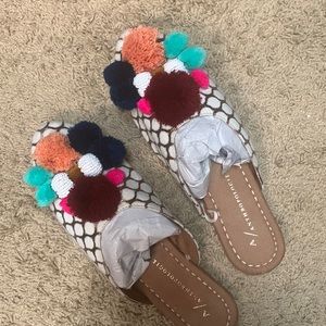 Anthropologie slides.